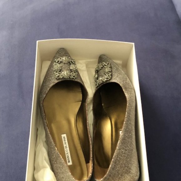 Sexy Bronze Flat Monolo Blahnik Noturno Fabric Hangisi - Picture 3 of 9